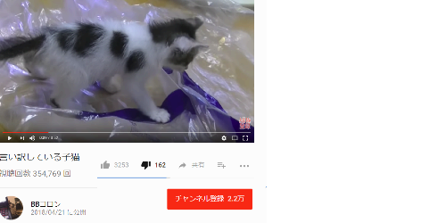 Gato動画を楽しむスレ 130匹目