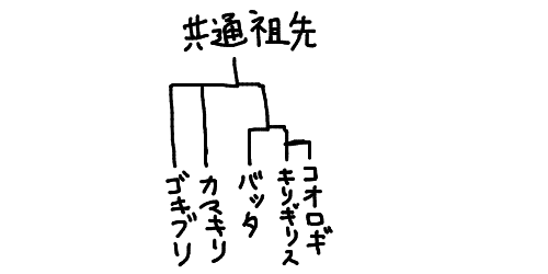 陽キャなカマキリ達見つかるｗｗｗｗｗ