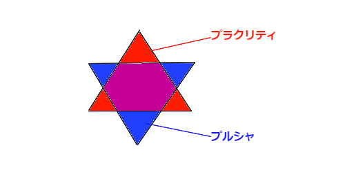 仙道総合16