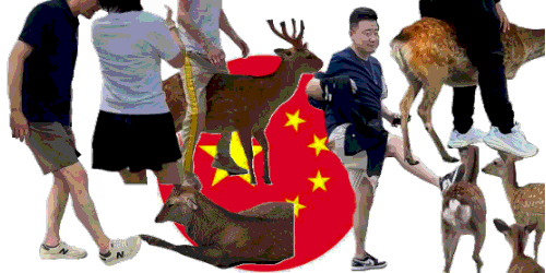 OEKAKI Image: 25o2d.png